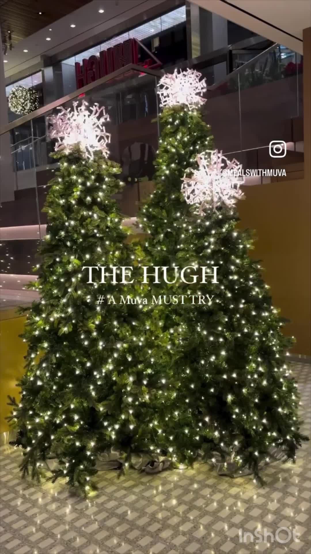 Video review of The Hugh