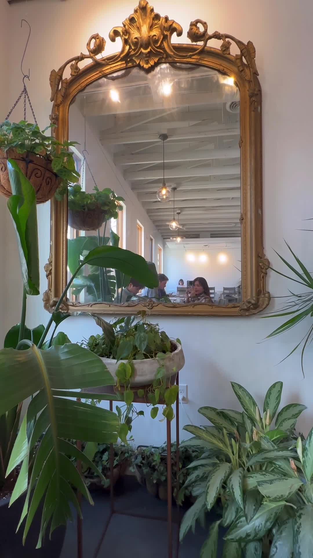 Video review of Fiddlehead Fern Cafe