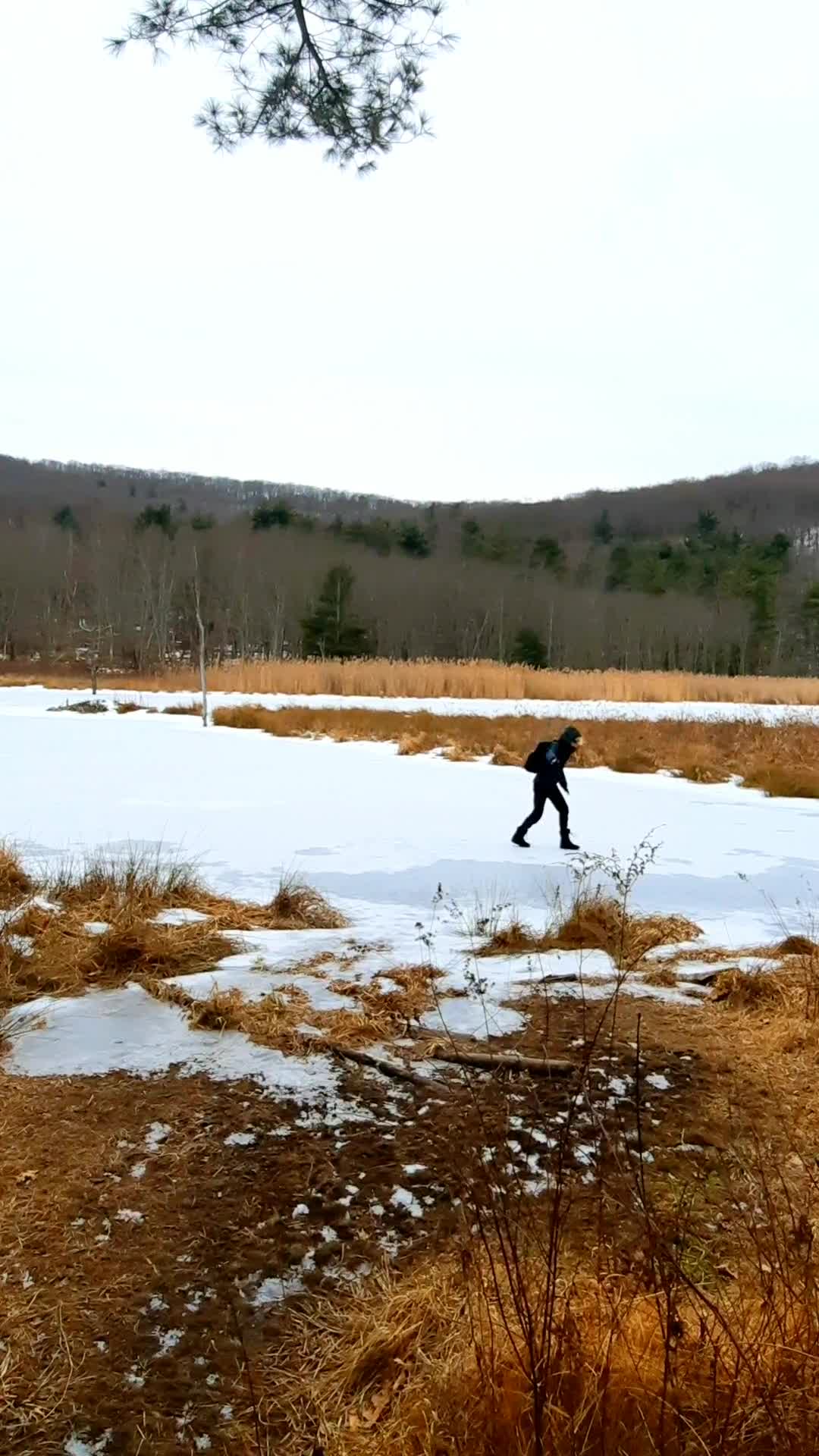 Nature Preserve