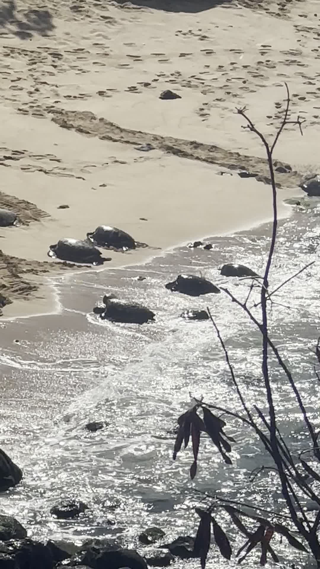 Ho'okipa Lookout
