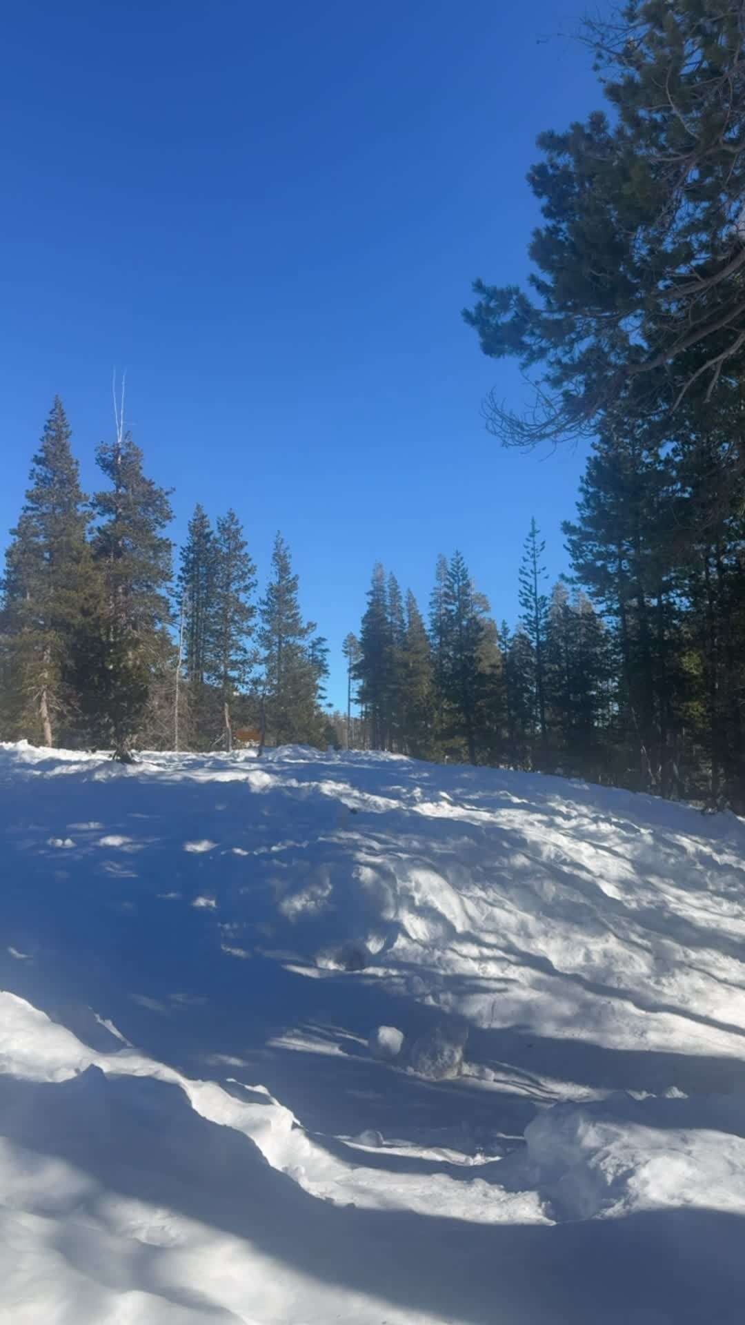 Video review of Circus Circus Reno