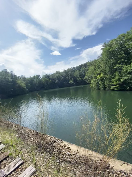 Lake Lure Beach