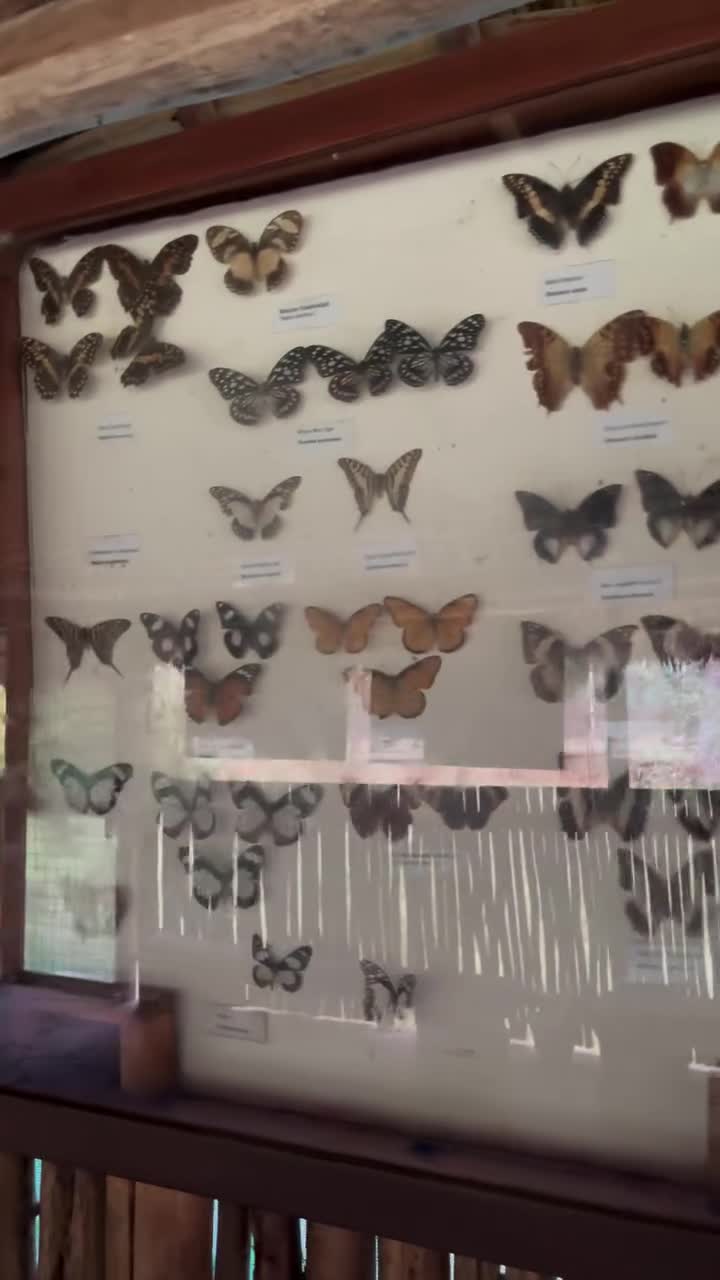 Great Lakes, Butterfly Pavilion