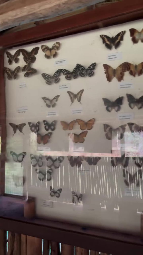 Great Lakes, Butterfly Pavilion