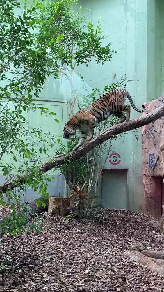 Zoo Hellabrunn München