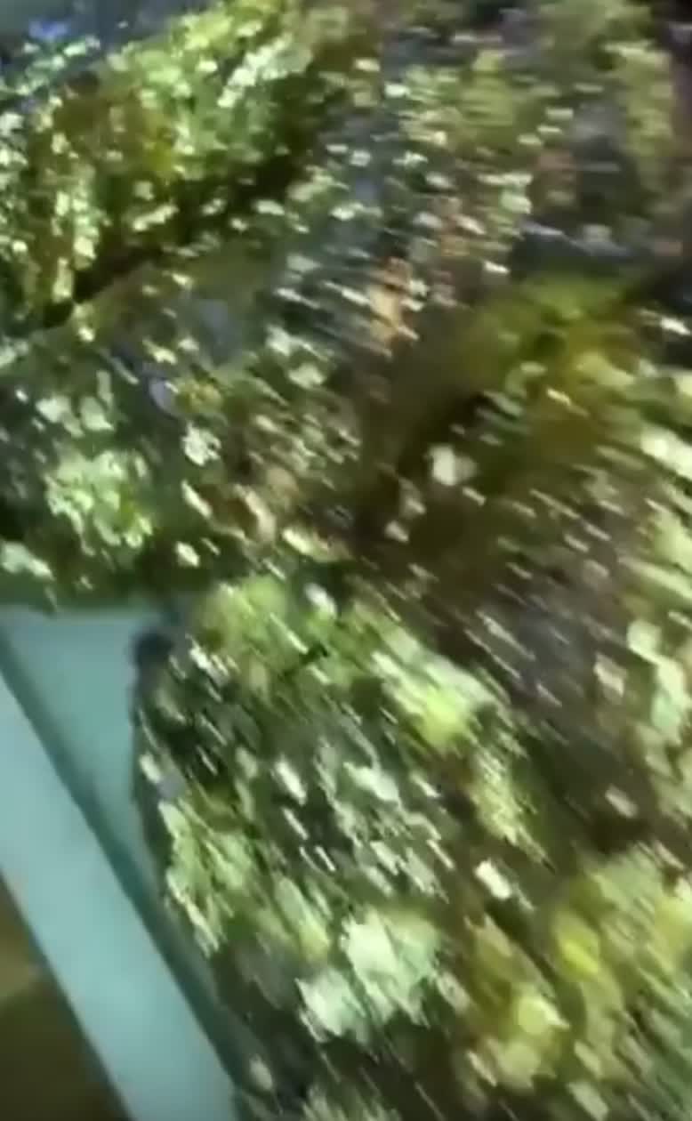 Video review of The Ainsworth - East Village