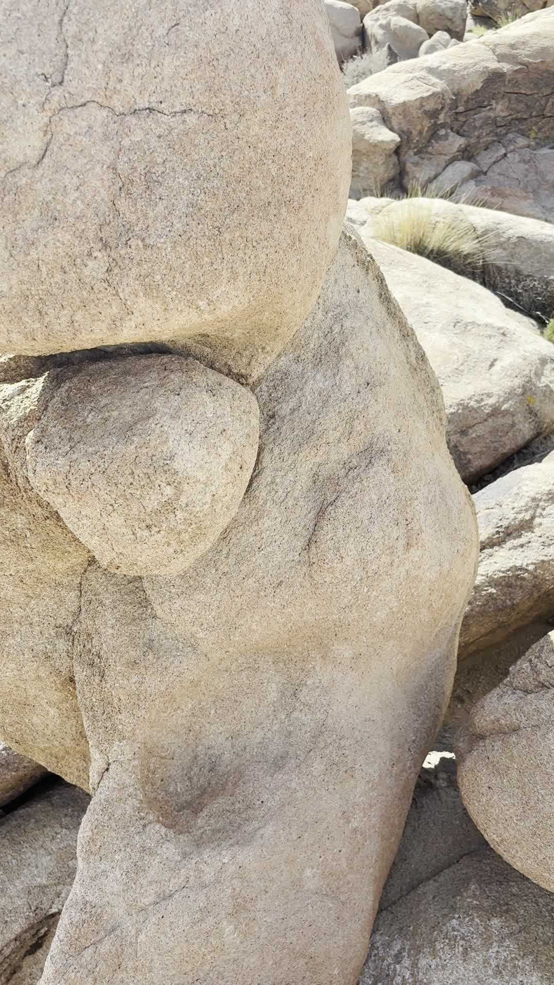 Video review of Joshua Tree National Park