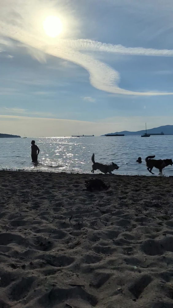 Hadden Dog Beach