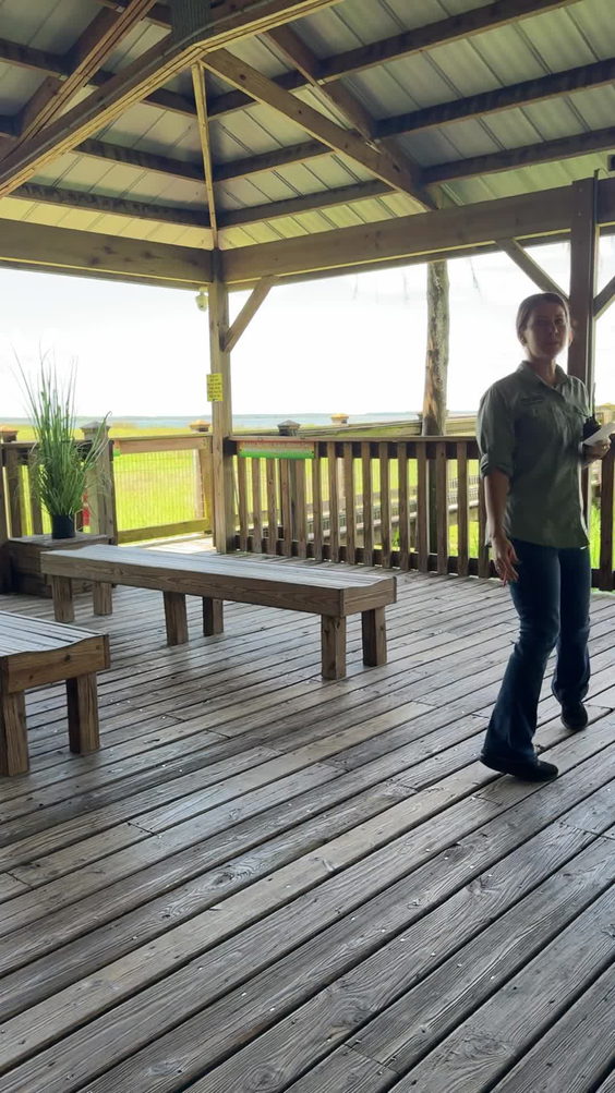 Wild Florida Airboats & Gator Park