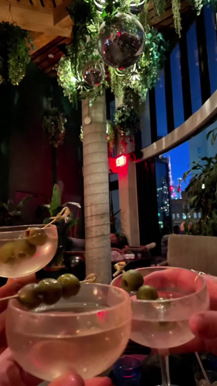 Video review of Good Behavior