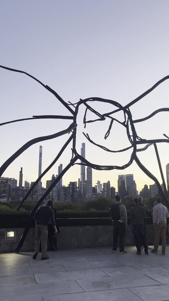 Metropolitan Museum of Art Roof Garden