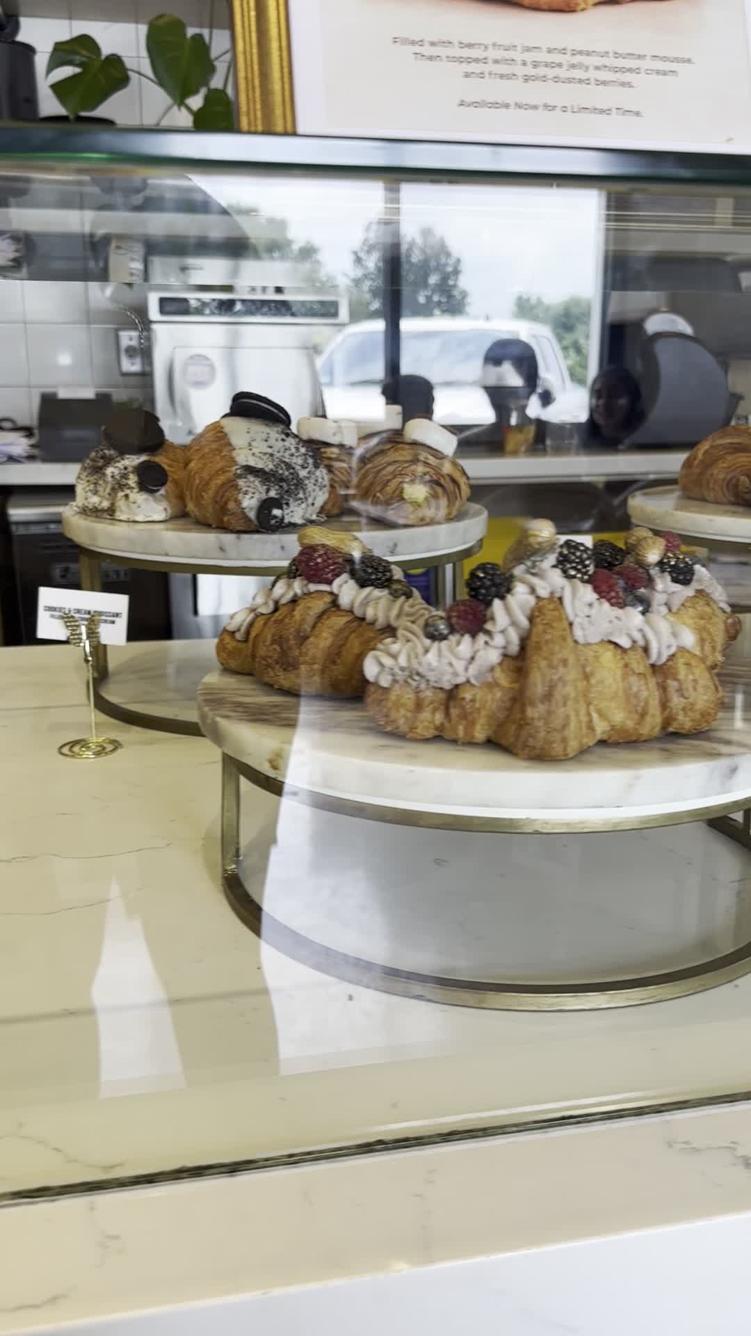 Video review of EggHaus Gourmet