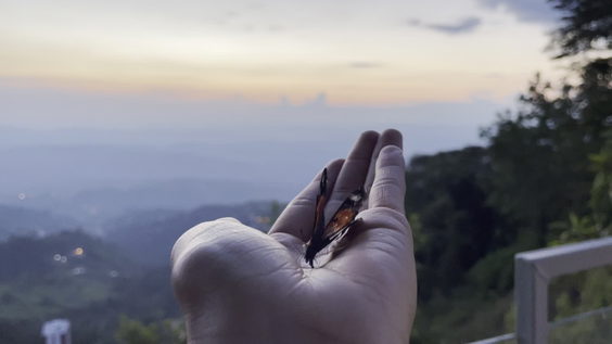 Chipre, Manizales, Caldas