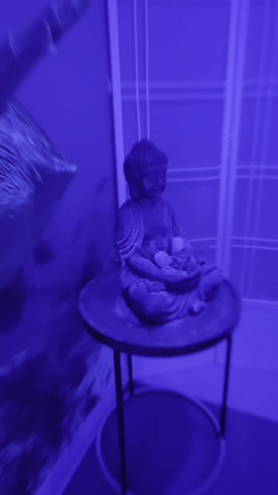 Float Studio