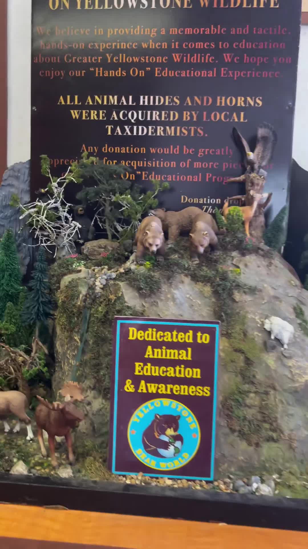 Yellowstone Bear World