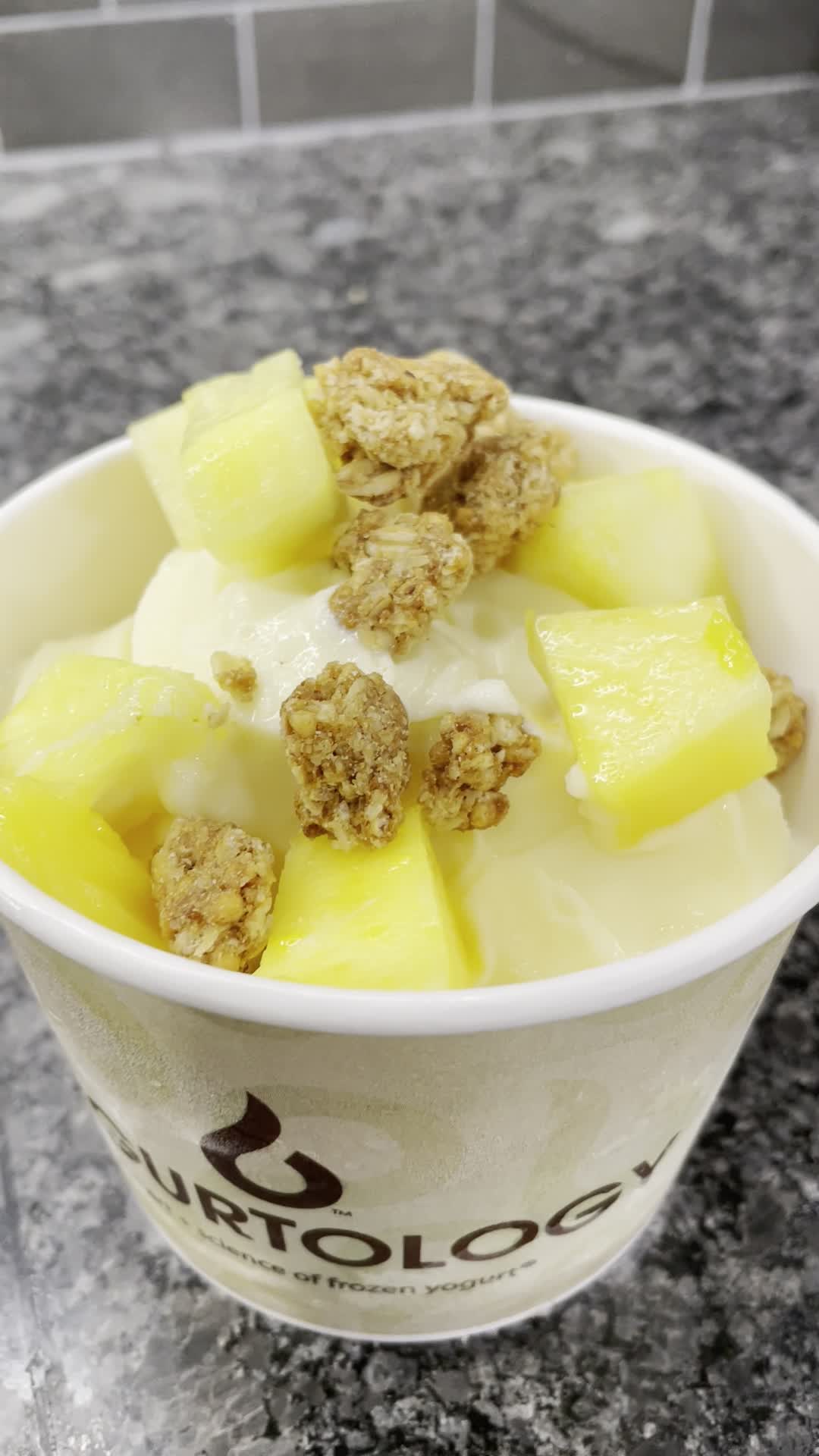 Video review of Yogurtology