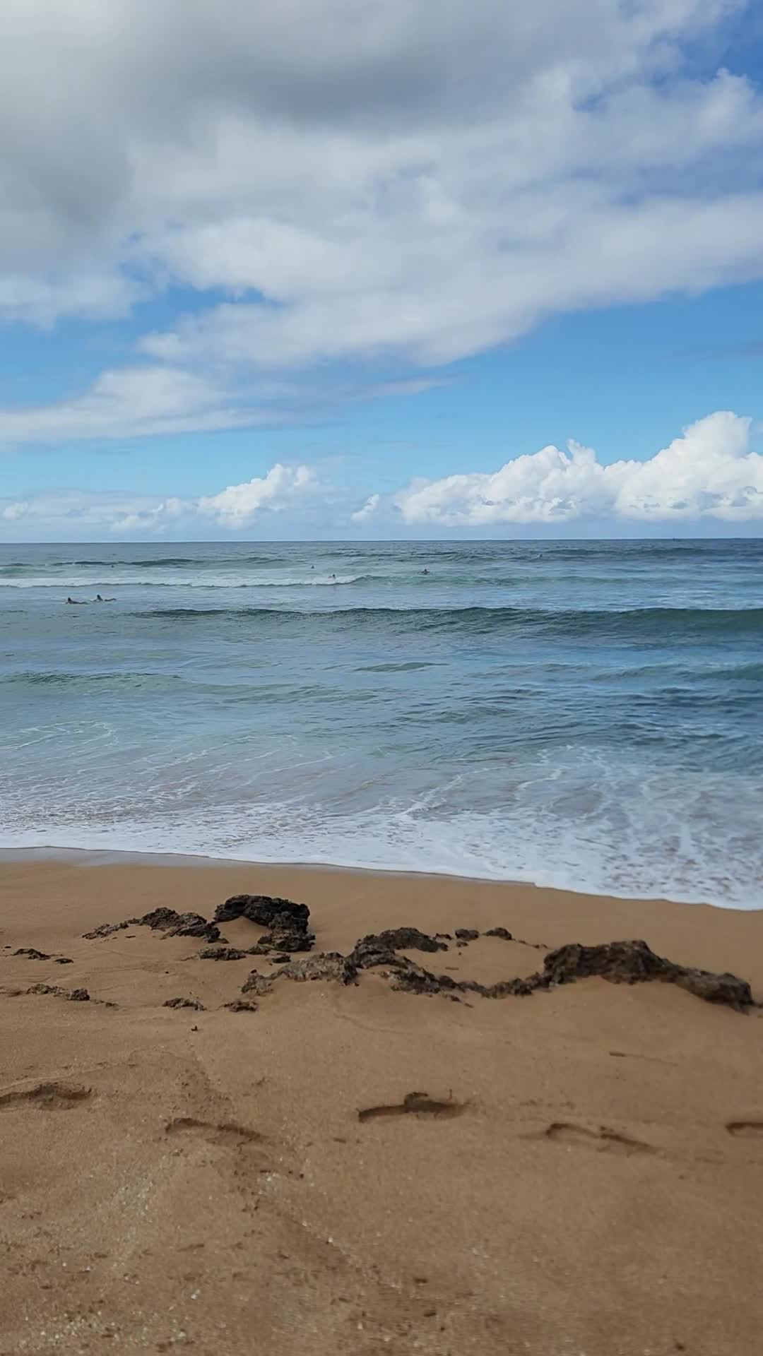 Haleiwa Alii Beach Park