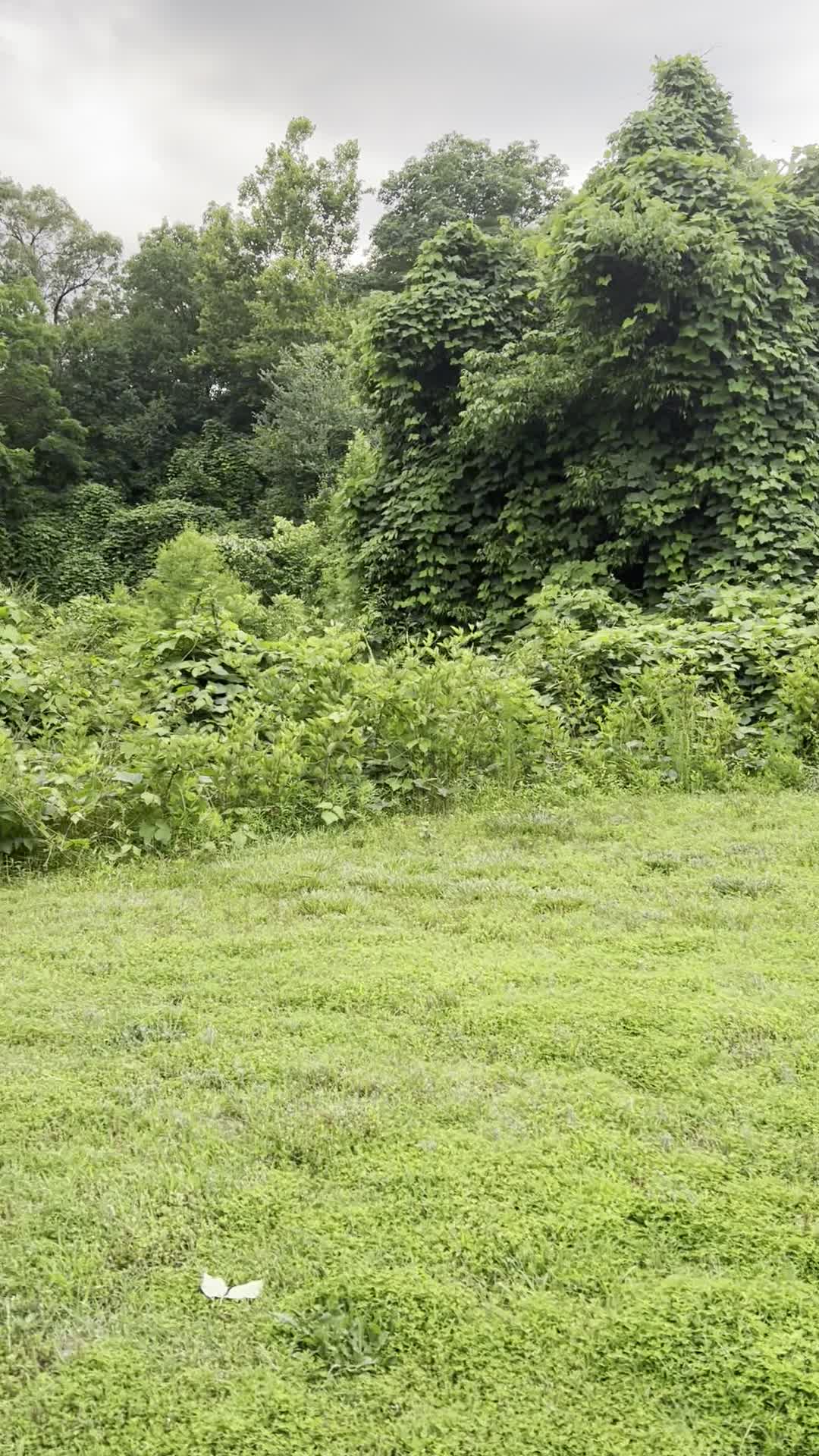 Quarry Park