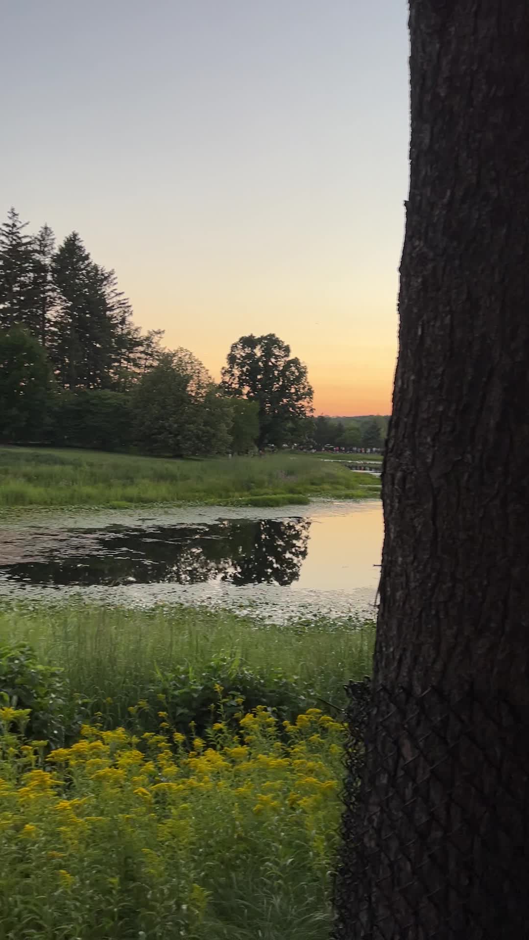 The Morton Arboretum