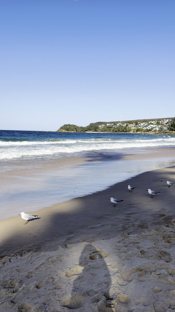 Manly Beach