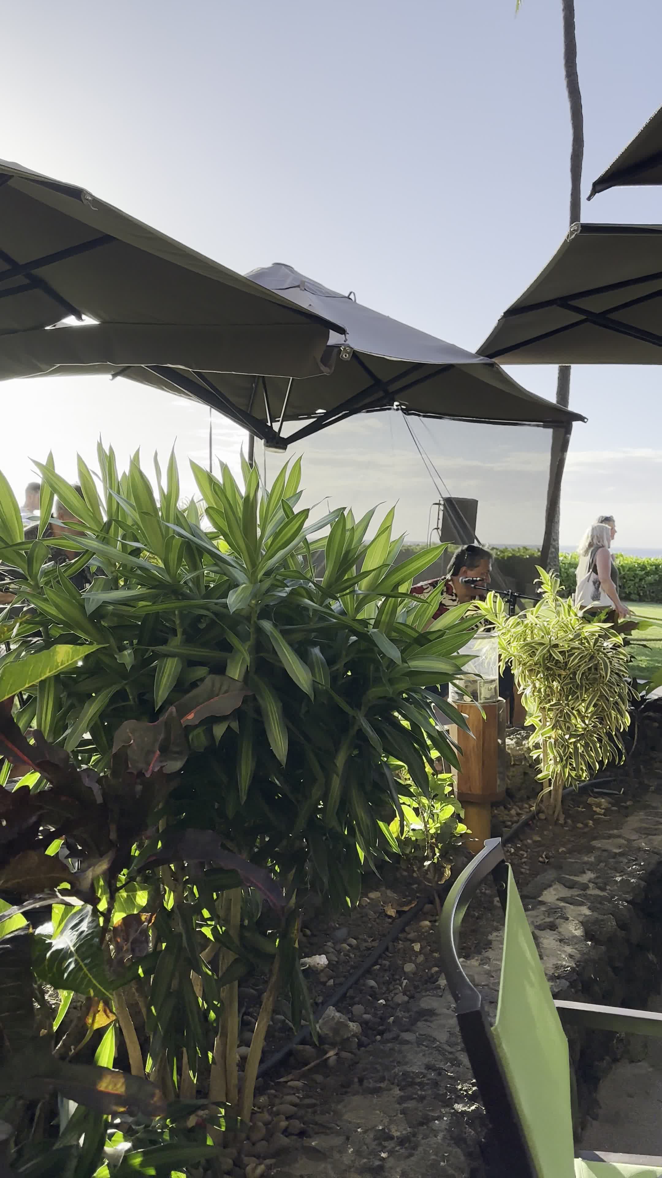 Video review of Leilani's on the Beach