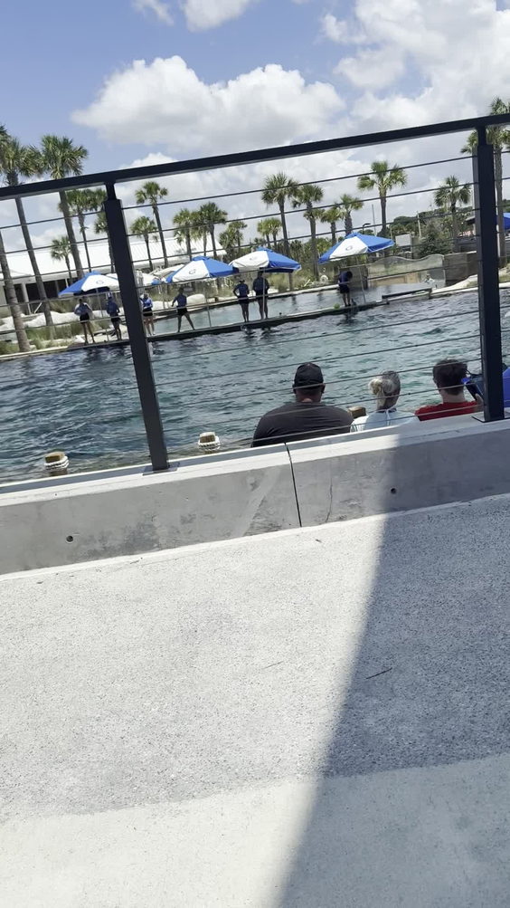 Gulfarium Marine Adventure Park