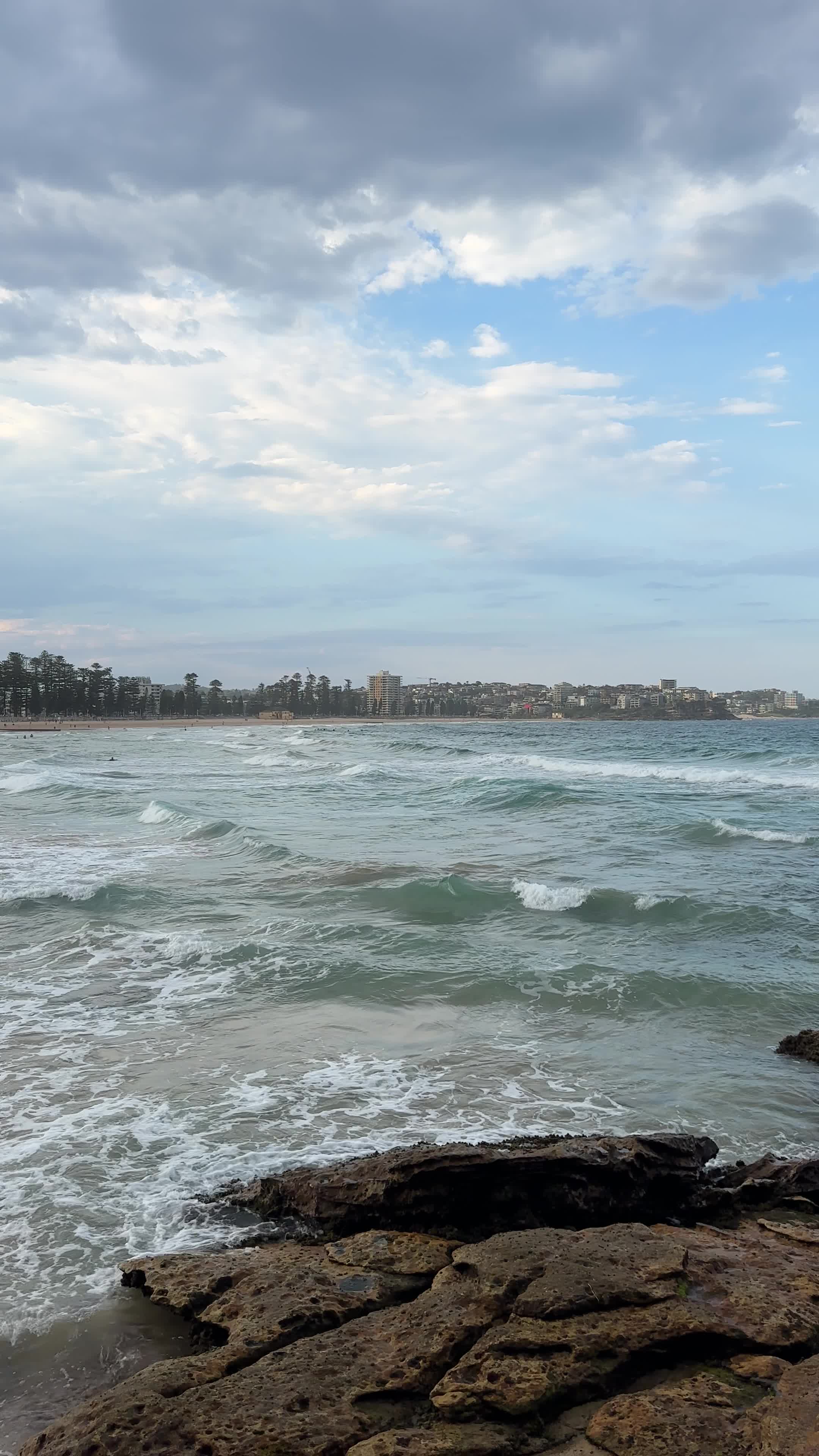 Manly to Shelly Beach Walk