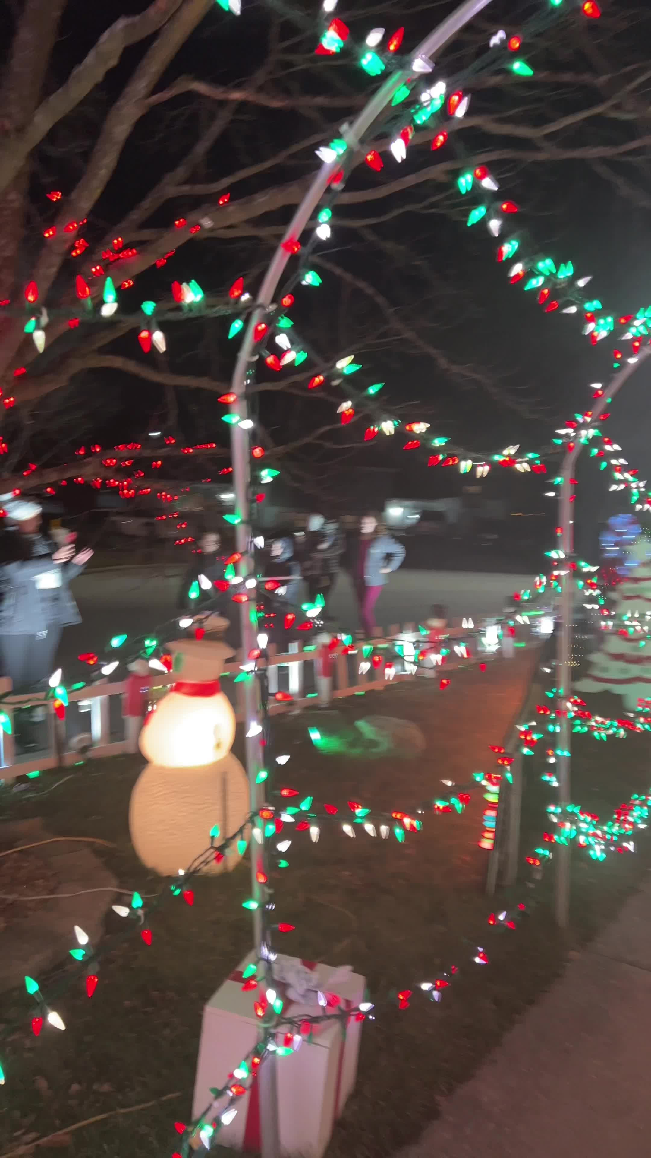 TP Christmas House