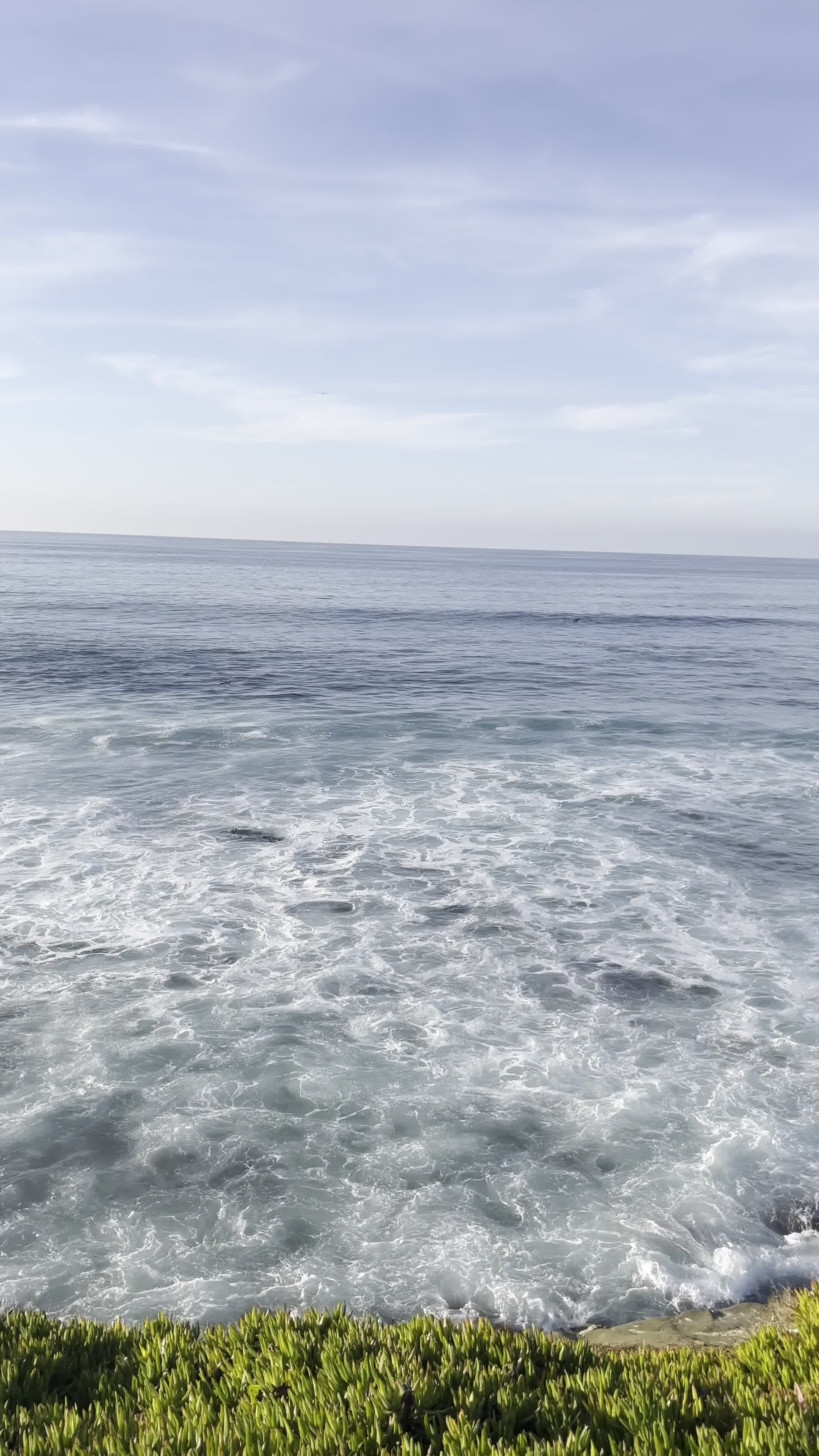 La Jolla Cove