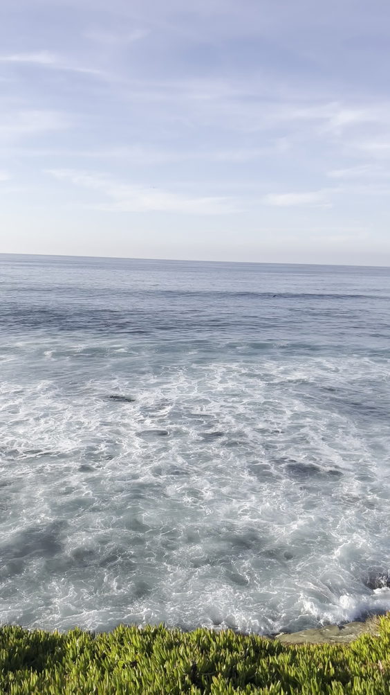 La Jolla Cove