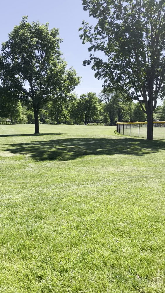 South End Park