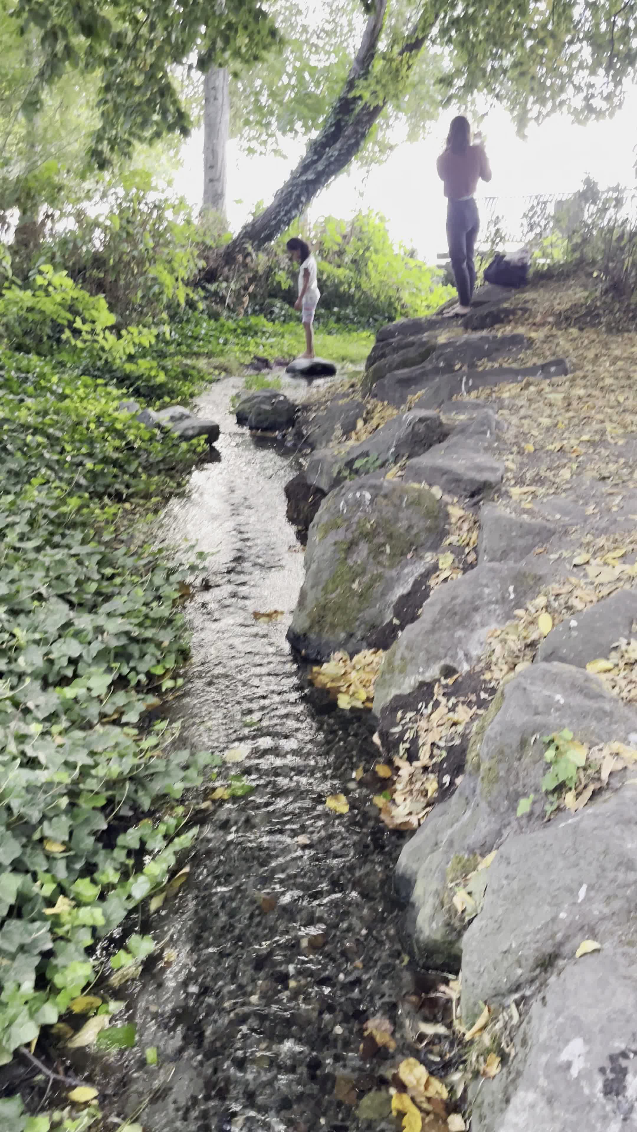 Video review of Golden Gardens Park