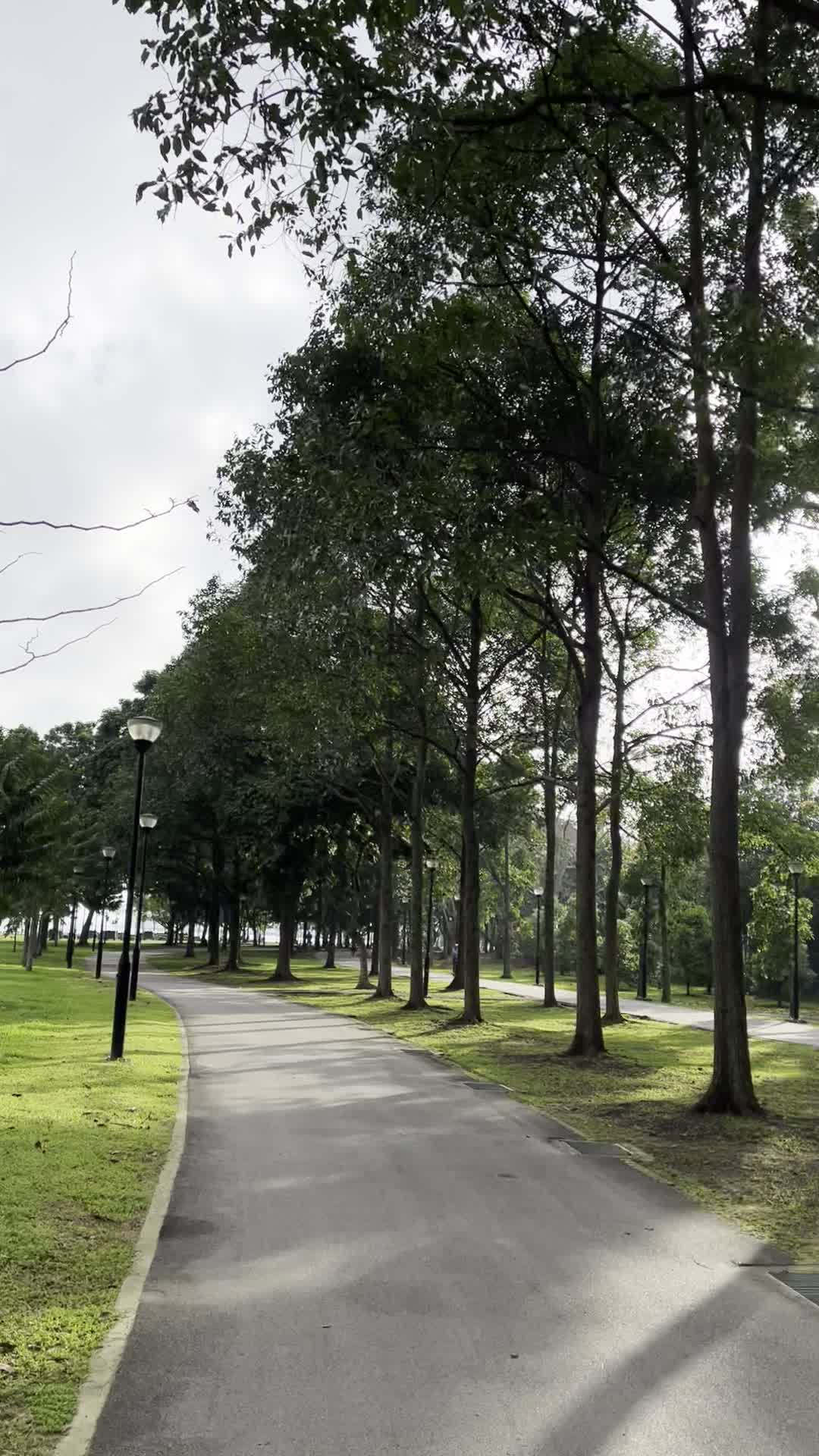 Pasir Ris Town Park