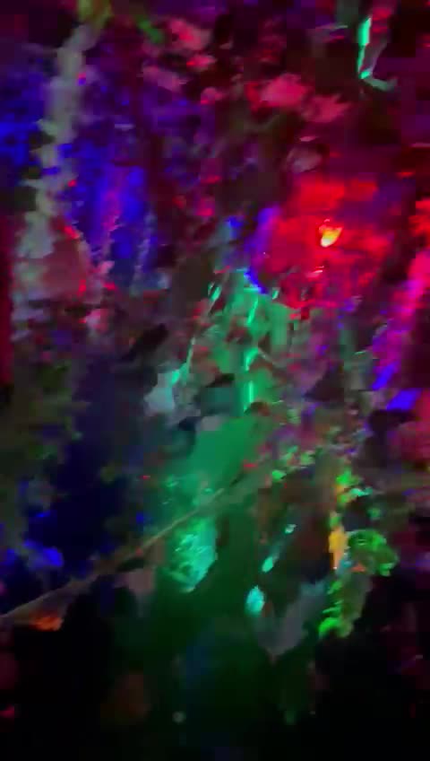 Low Key Garden Lounge