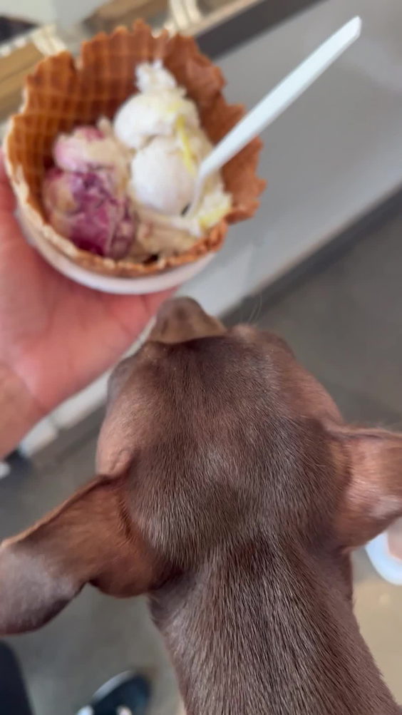 Jeni's Splendid Ice Creams