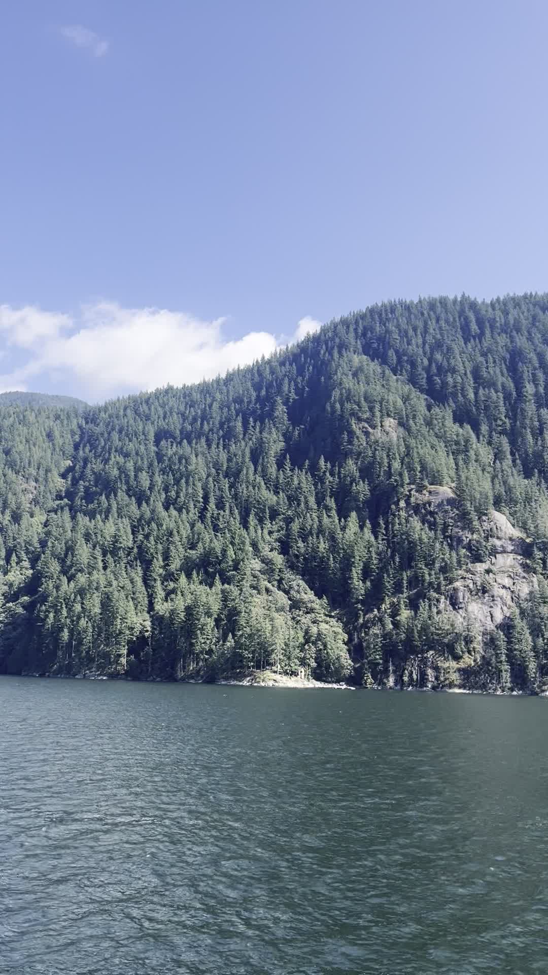 Video review of Rocky Point Park