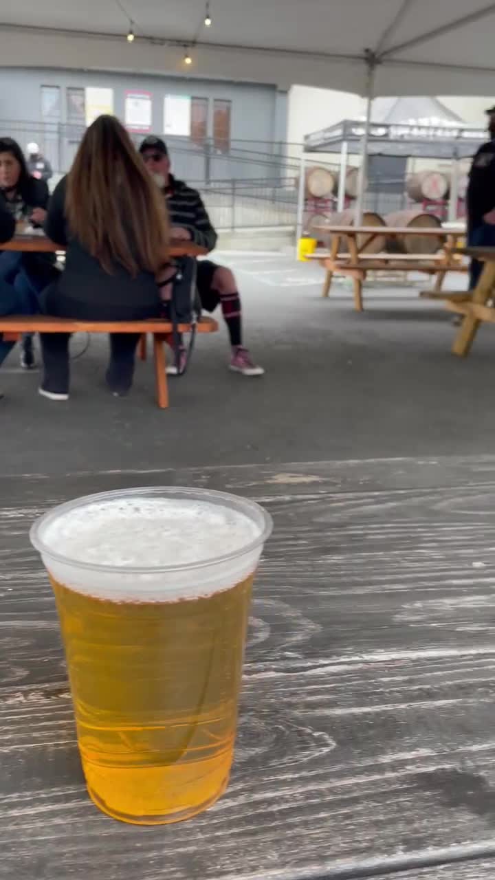 Video review of Speakeasy Ales & Lagers