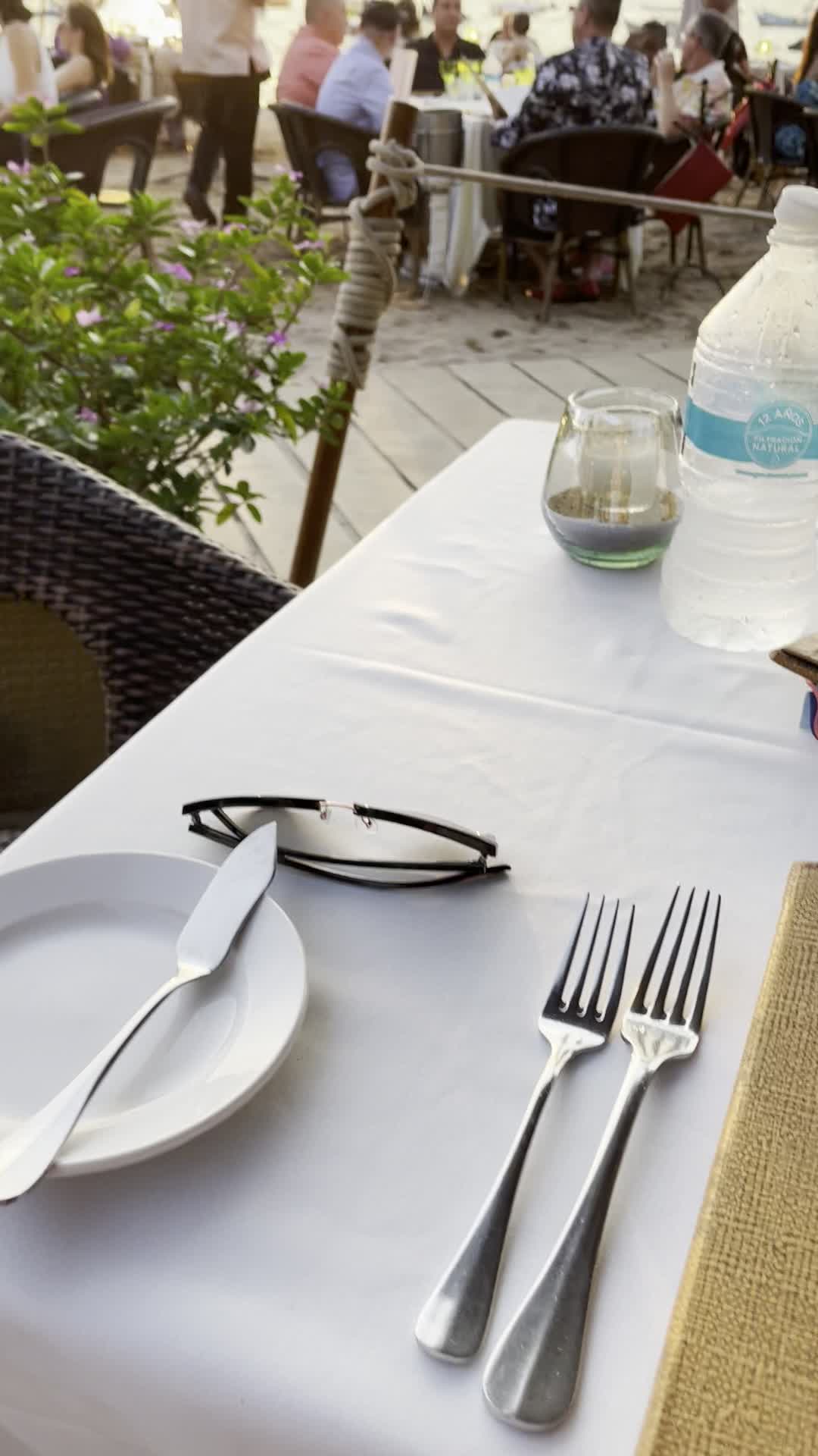 Video review of La Palapa