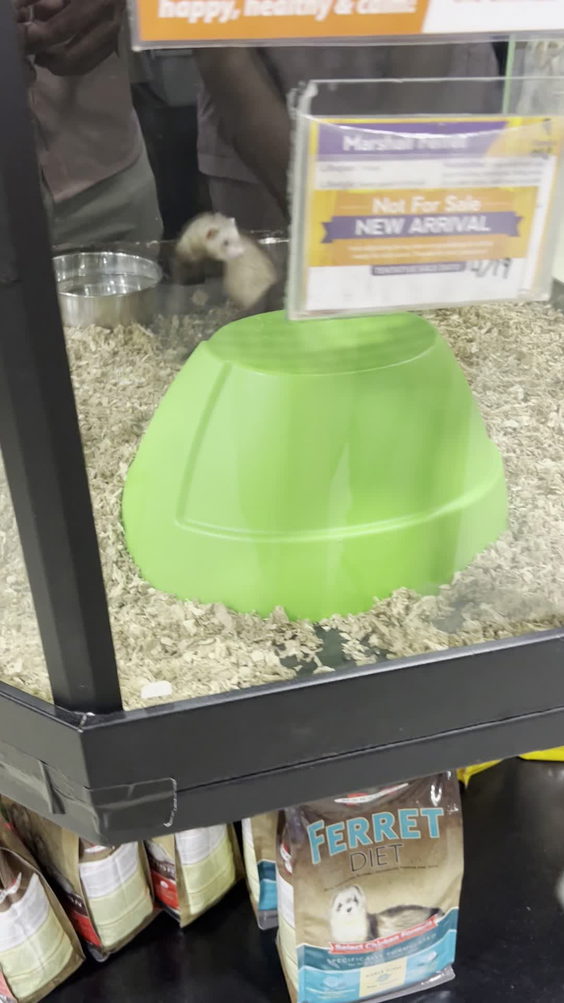 That Fish Place - That Pet Place