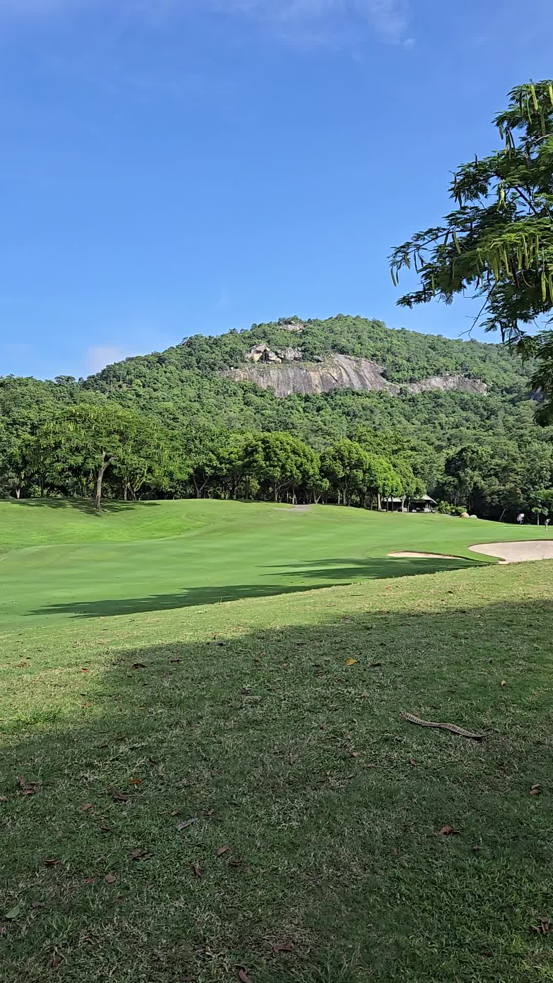 Black Mountain Golf Club