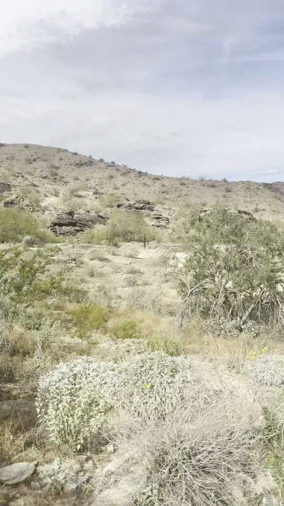 South Mountain