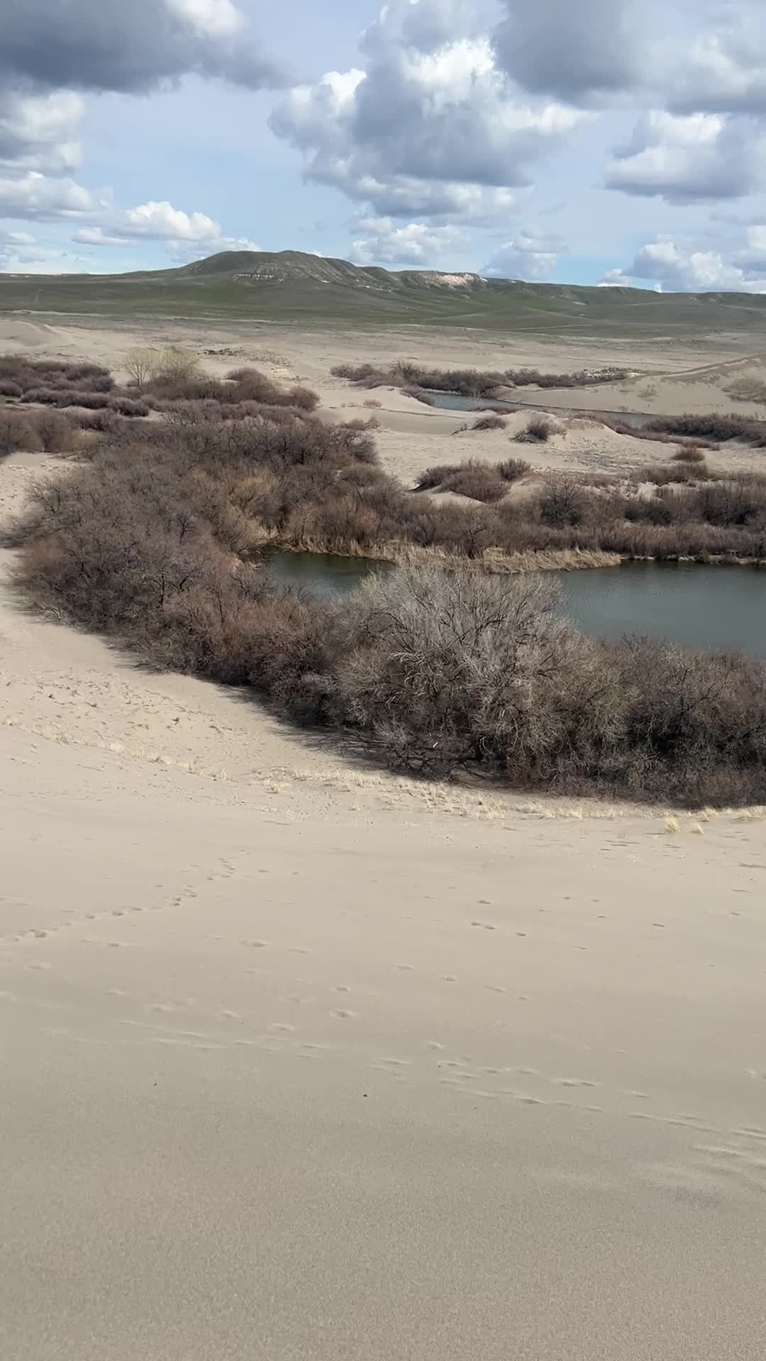 Bruneau Sand Dunes Observatory