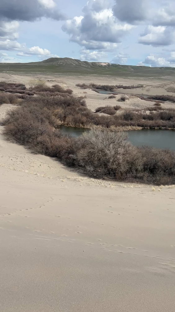 Bruneau Sand Dunes Observatory