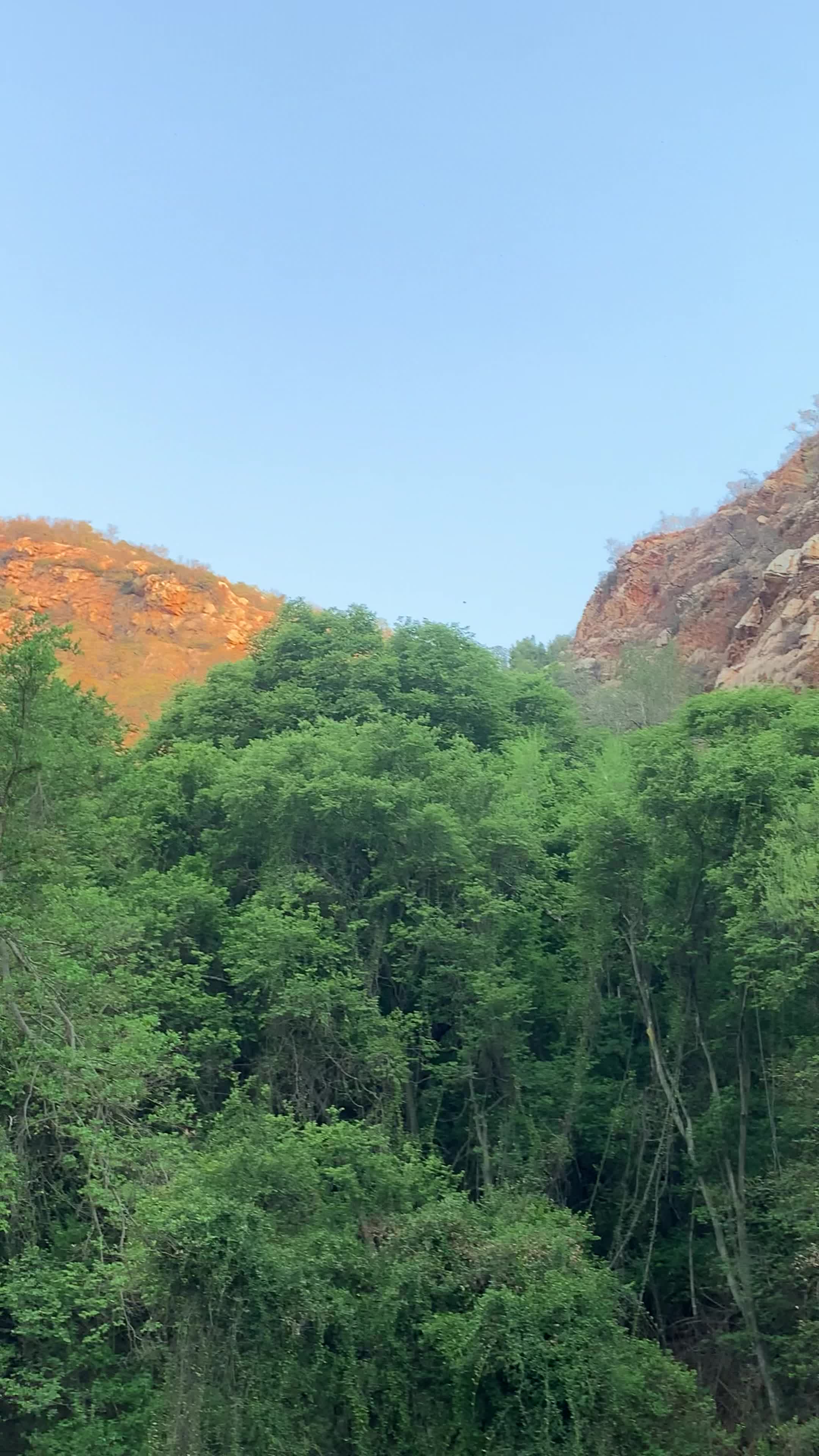 Walter Sisulu botanical gardens