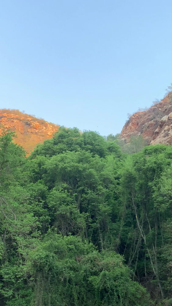 Walter Sisulu botanical gardens
