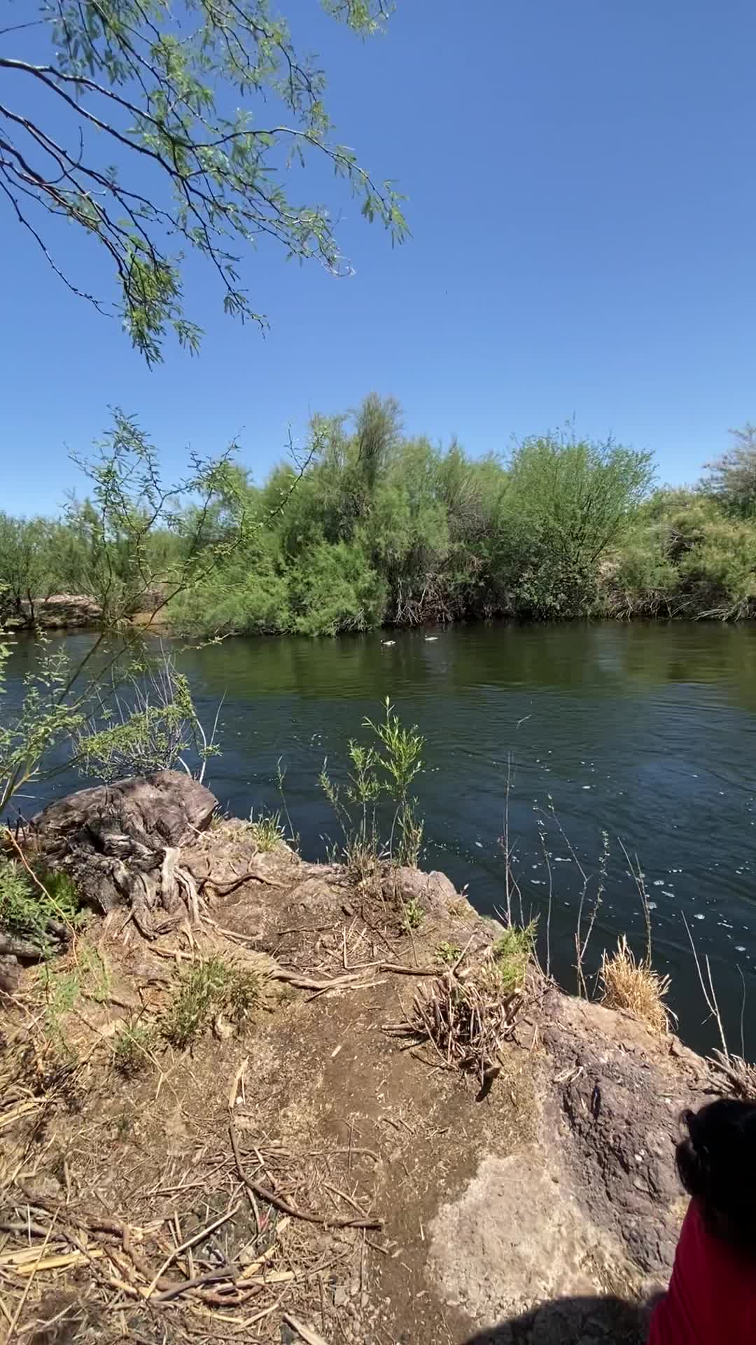 Granite Reef Recreation Area