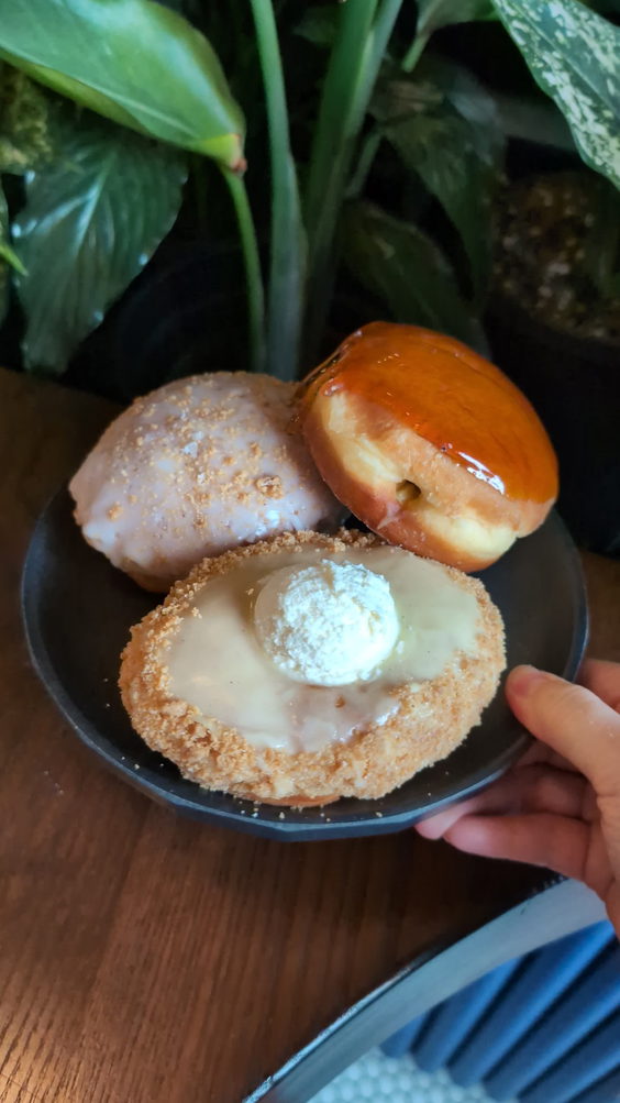 Holy Mochi Donuts