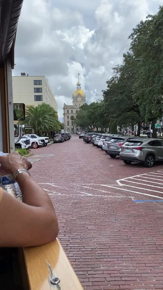Old Savannah Tours