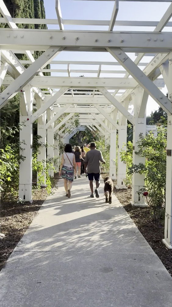 Lacy Park Rose Arbor