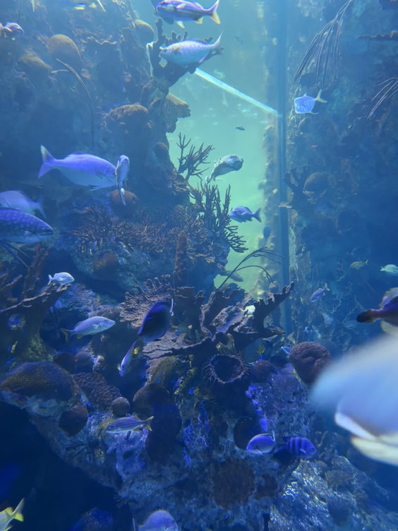 Frost Science